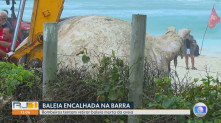 Reprodução/RJ1